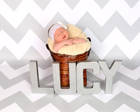 Lucy's Newborn Session